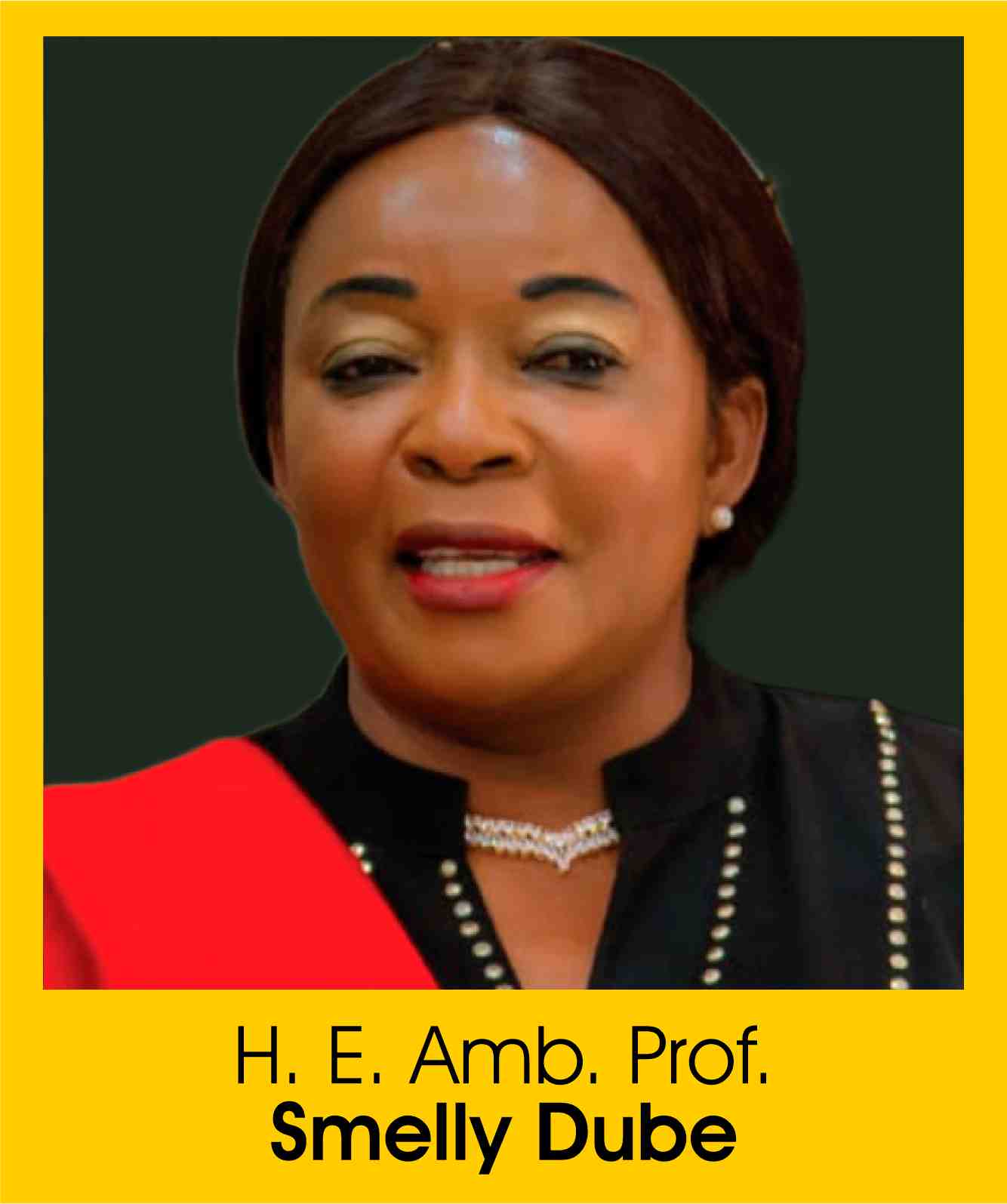 H. E. Amb. Prof. Smelly Dube